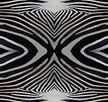 Ковролин Flotex Vision Image 000402 Zebra фото 1 | FLOORDEALER